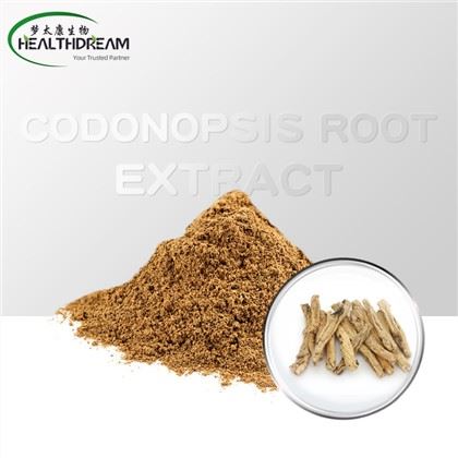 Extrato raiz de codonopsis