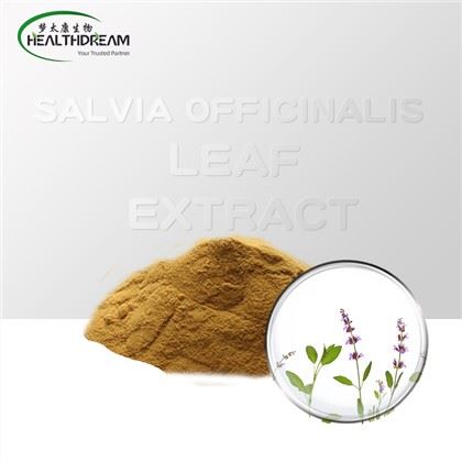 Salvia officinalis Extrato de folha