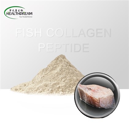 Peptídeo de colágeno de peixe