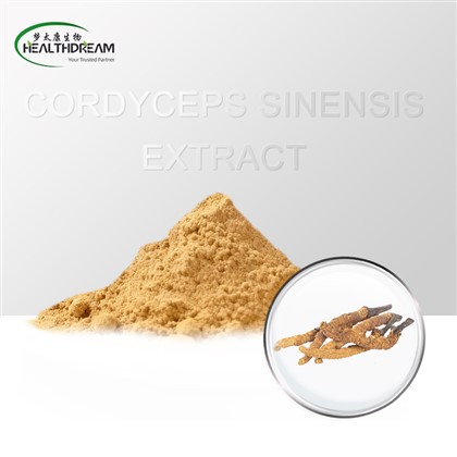 Extrato Orgânico de Cordyceps Sinensis Beta Glucano 30%