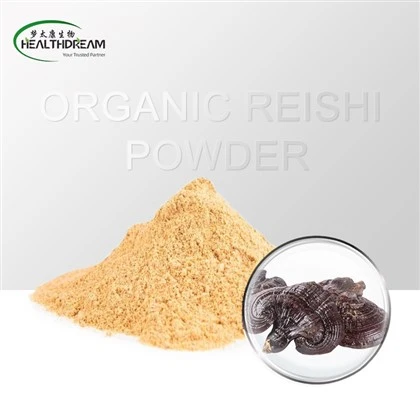 Pó Reishi Orgânico